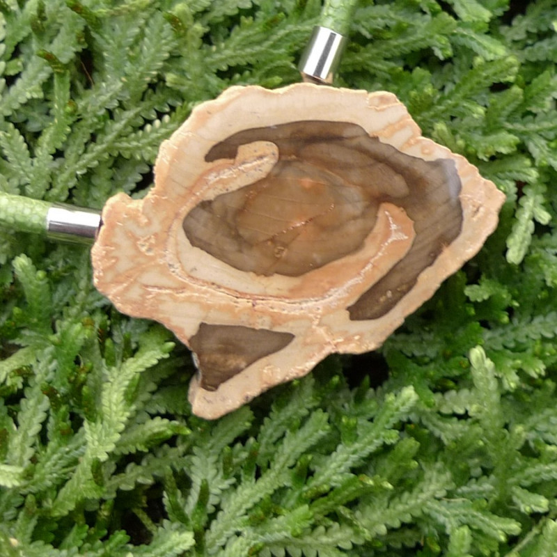 Fossilized wood InterChangeable Clasp