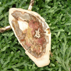 Fossilized wood InterChangeable Clasp