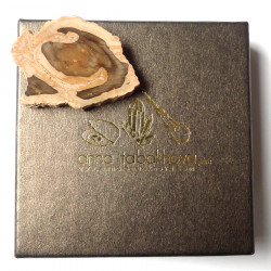 Fossilized wood InterChangeable Clasp as you will get it .