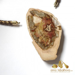 Fossilized wood InterChangeable Clasp