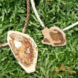 Fossilized wood InterChangeable Clasp for comparison of sizes (one for sale)