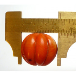 Sea bamboo Coral clasp, buy on line