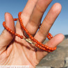 Corail collier fermoir rectangle